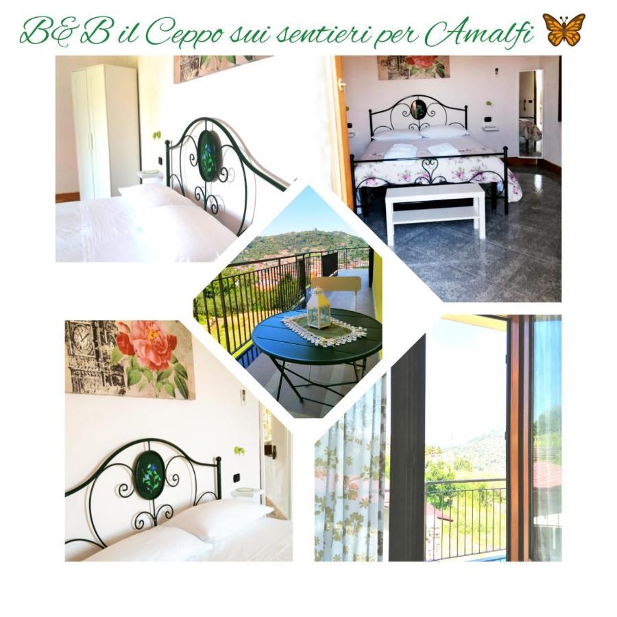 Il Ceppo Sui Sentieri Per Amalfi Bed & Breakfast Pimonte Dış mekan fotoğraf