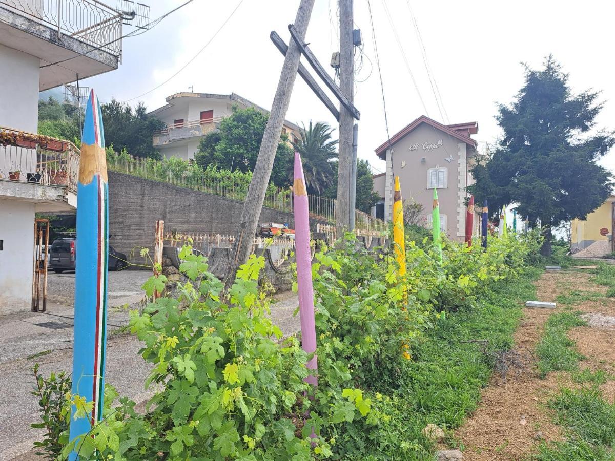 Il Ceppo Sui Sentieri Per Amalfi Bed & Breakfast Pimonte Dış mekan fotoğraf